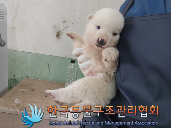 한국동물구조관리협회_441409202401669